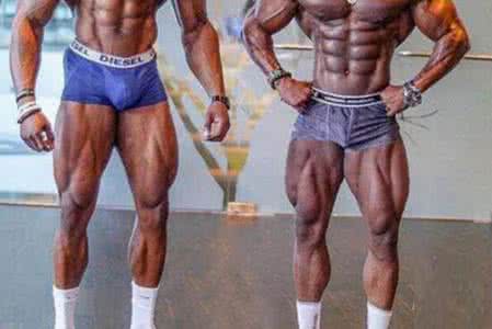 健身房腿部肌肉锻炼 腿部肌肉锻炼 腿部肌肉锻炼方法大全,健身房如何训练大腿肌群、小腿肌群