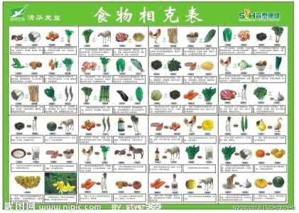 猪肉和什么相克 猪肉和什么东西相克