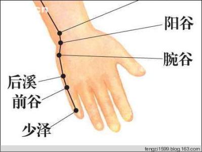 督脉 后溪穴:通督脉,泻心火,壮阳气,调颈椎,利眼目 后溪穴