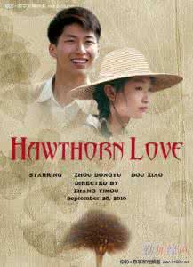 山楂树之恋 艾米 小说 作家艾米和山楂树之恋 山楂树之恋小说 小说简介与作家介绍