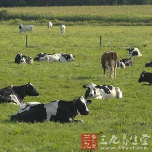 奶源标准 专家称我国奶源已达世界先进标准