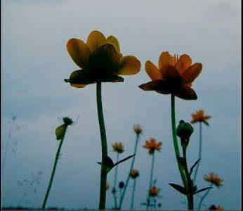 歌曲改变人生 改变人生四箴言