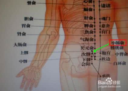 肾俞的作用 肾俞穴位的作用如何实现