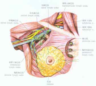 腋窝淋巴结肿大的原因 腋窝淋巴结 引起腋窝淋巴结的六个原因