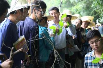 园林树木学实习总结