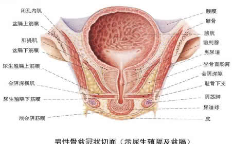 遗精的表现 60岁怎么还遗精是正常生理表现吗