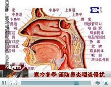 鼻炎与咽炎 鼻炎和咽炎的关系