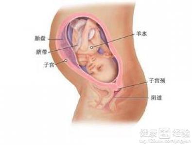 做人流对身体的害处 人流后过早怀孕 过早怀孕对身体有很大伤害