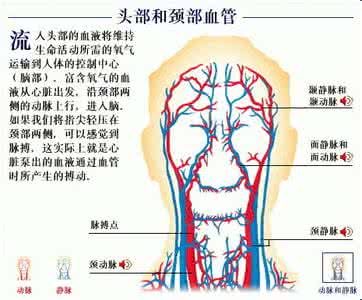 脑供血不足的临床表现 脑供血不足的症状 它有哪些临床表现