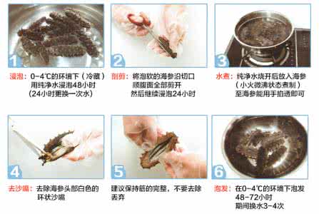海参的功效与作用吃法 详解海参的泡发方法、功效、吃法