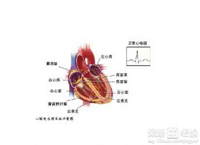 治疗心肌缺血的小偏方 治疗心肌缺血的偏方 怎么治心肌缺血有效