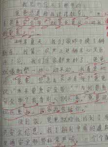 中小学生作文大全 中小学生记事作文大全