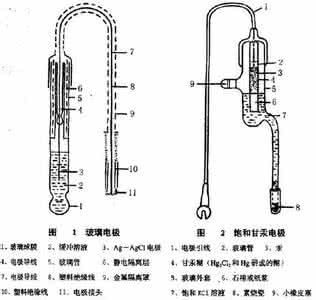 ph玻璃电极 新玻璃电极注意事项