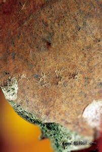 出土文献与古文字研究 中国最早文字出土无人能懂