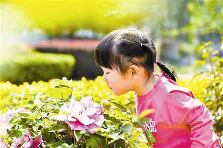 如何防止花粉过敏 春季赏花要防止花粉引起肌肤过敏