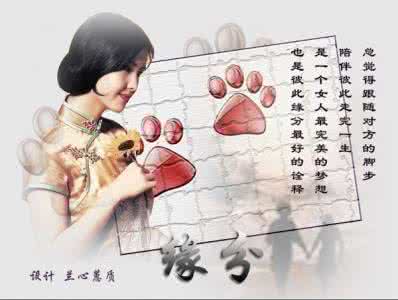 图文音画教程 遇到你是我不期的缘分【图文音画】