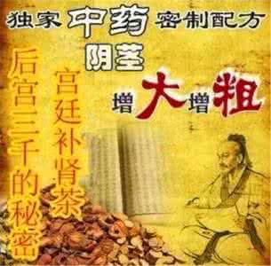 中医养肾补肾速查手册 十秘方养肾补肾