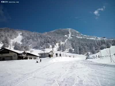 志贺高原滑雪场 长野志贺高原滑雪场 长野志贺高原滑雪场的玩法