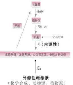 补充雌激素的副作用 补充雌激素有什么作用 雌激素有什么作用