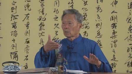 城南旧事名家评论 许延 内家拳旧闻一——太极拳名家旧事录_许延