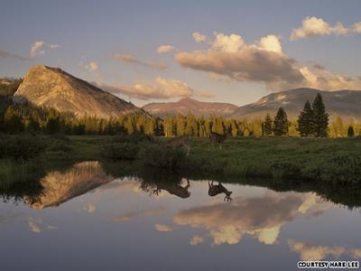 如何拍摄风景照 如何拍摄令人为之一惊的风景照