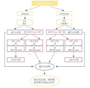 急性心力衰竭诊治进展 图解：简单三步丨诊治心力衰竭