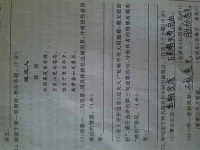 明诗鉴赏100例（41