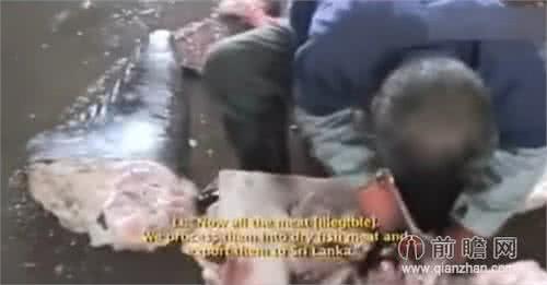 印尼女华人惨案图片 98年印尼血腥屠杀华人黑镜头被曝光!胆小勿入