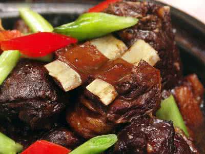 天下美食 天下美食任你品尝<羊肉类>