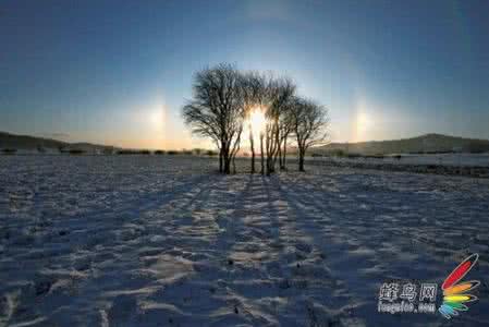 轻松成为手机摄影达人 8大实用构图法让你轻松成为摄影高手