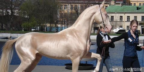 汗血宝马 此国和中国颇有历史渊源 盛产汗血宝马和美人