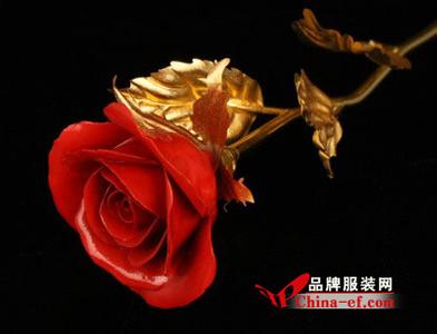凋零的花朵 爰,一朵不凋零的花朵