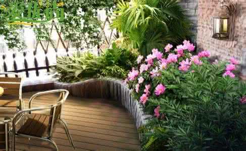 阳台的绿化布置 阳台绿化 阳台的绿化布置