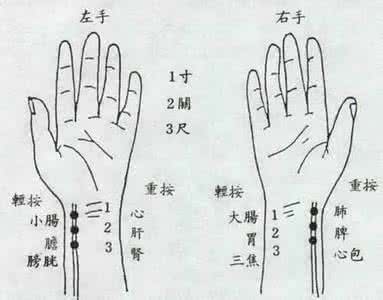 脉诊 脉诊图集
