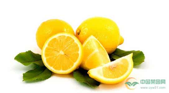 夏季防晒水果 夏天如何防晒 夏季8防晒水果