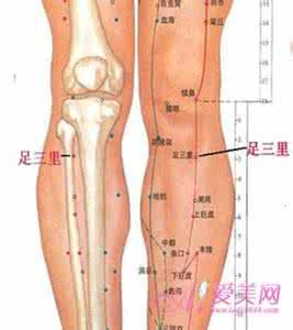 养生穴位按摩 养生要常按摩四个穴位