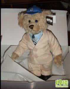 越狱泰迪 一只泰迪的成功越狱