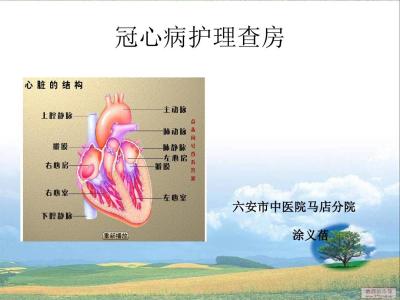 冠心病病人的护理查房 冠心病病人的护理查房 冠心病病人的护理 如何综合护理冠心病
