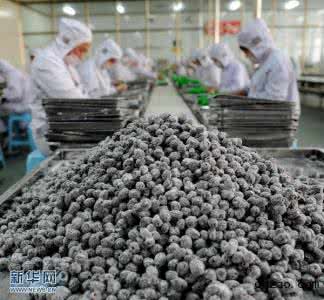 农产品产业链 李朝旺：“小产品”做出大产业