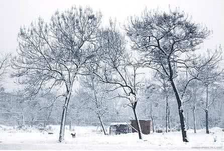 雪景拍摄技巧 冬季城市雪景拍摄技巧与注意事项
