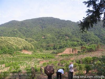 如何看阴宅风水 如何看墓地风水 如何看墓地风水、看阴宅风水