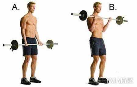 杠铃的锻炼方法 杠铃的几种锻炼方法