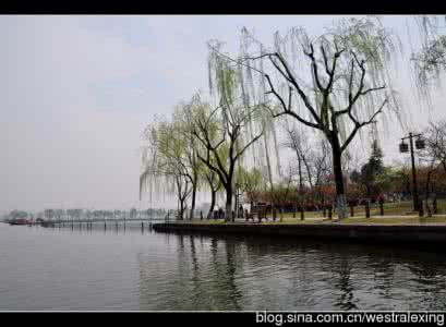 浙江省杭州市西湖区 【浙江·杭州】西湖三月,春风又绿江南岸