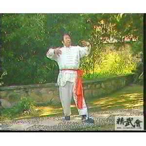 大成拳七妙法门 王选杰大成拳视频 【大成拳】王选杰先生七妙法门教学课程