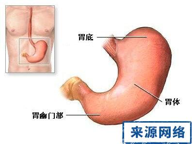 办公室健康 胃部健康 办公室健康 从保护你的胃部开始