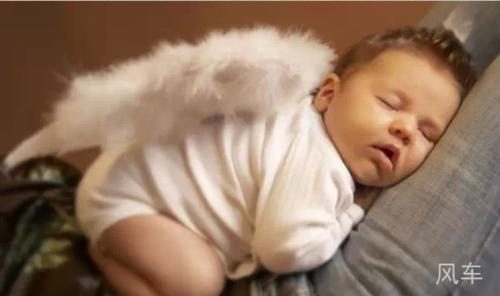 天下第一大补 天下第一大补，竟然是？？太不可思议了！