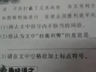 权衡利弊的意思 权衡利弊的意思 权52利弊的意思