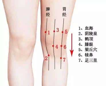 膝关节止痛药 膝关节疼痛怎么办?穴位按摩可通经止痛
