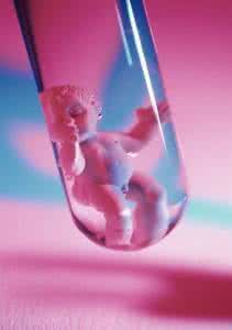 子宫内膜薄厚 听说:子宫内膜薄厚决定试管成功率?这是真的吗?