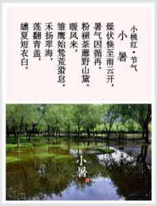 洞仙歌 洞仙歌·小暑